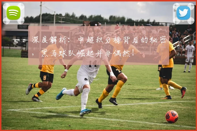 深度解析:中超积分榜背后的秘密,黑马球队崛起并非偶然!