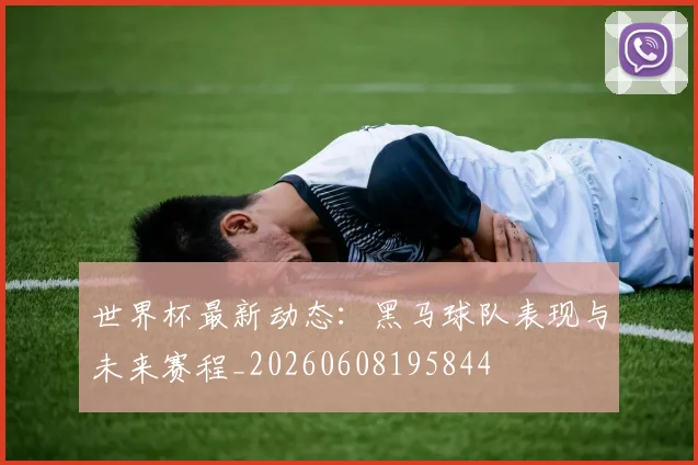 世界杯最新动态:黑马球队表现与未来赛程_20260608195844